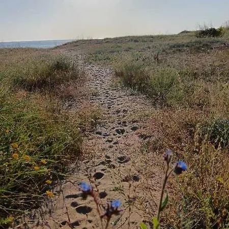 Sea Time * 索佐波尔